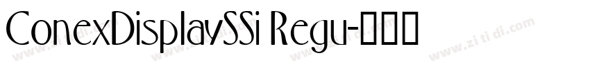 ConexDisplaySSi Regu字体转换